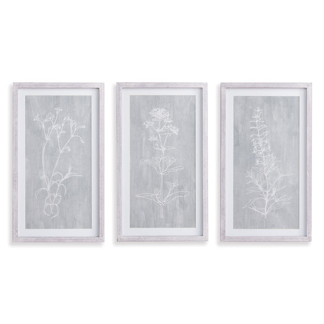 Napa Includes mat SKETCHED BOTANICAL PRINTS, SET OF 3