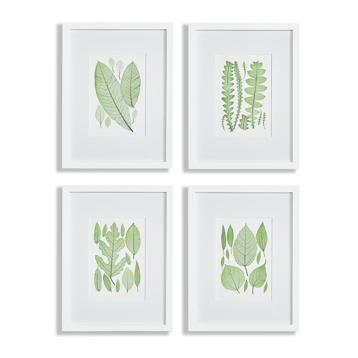Napa Includes mat ASSORTED LEAF PRINTS, SET OF 4