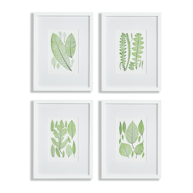Napa Includes mat ASSORTED LEAF PRINTS, SET OF 4