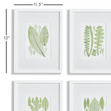 Napa Includes mat ASSORTED LEAF PRINTS, SET OF 4