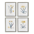 Napa Includes mat DAFFODIL PRINTS, SET OF 4