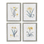 Napa Includes mat DAFFODIL PRINTS, SET OF 4