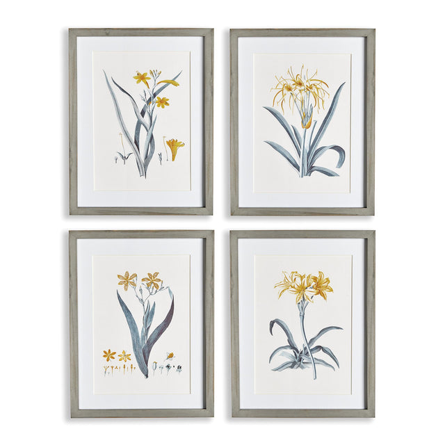 Napa Includes mat DAFFODIL PRINTS, SET OF 4