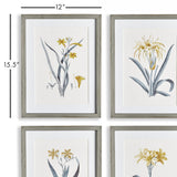 Napa Includes mat DAFFODIL PRINTS, SET OF 4