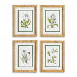 Napa Includes mat WHITE FLORAL STUDY, SET OF 4