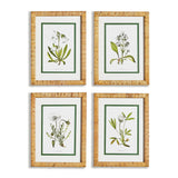Napa Includes mat WHITE FLORAL STUDY, SET OF 4
