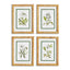 Napa Includes mat WHITE FLORAL STUDY, SET OF 4