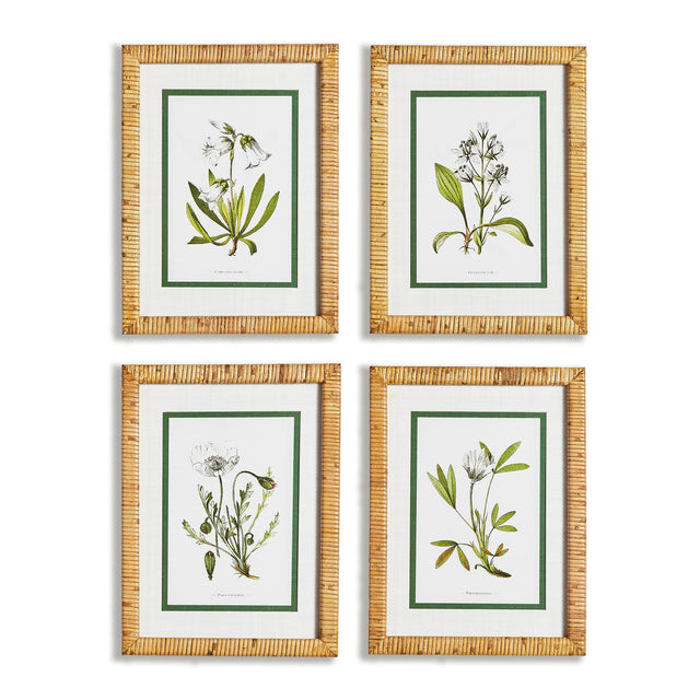 Napa Includes mat WHITE FLORAL STUDY, SET OF 4