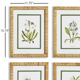 Napa Includes mat WHITE FLORAL STUDY, SET OF 4