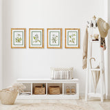 Napa Includes mat WHITE FLORAL STUDY, SET OF 4