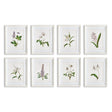Napa Includes mat FLOWERS IN BLOOM PETITE PRINTS, SET OF 8