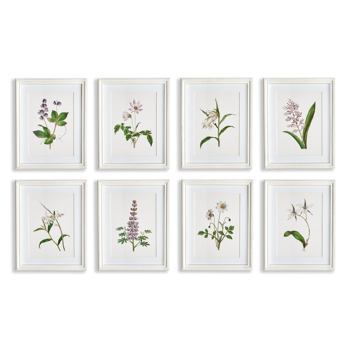Napa Includes mat FLOWERS IN BLOOM PETITE PRINTS, SET OF 8