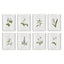 Napa Includes mat FLOWERS IN BLOOM PETITE PRINTS, SET OF 8
