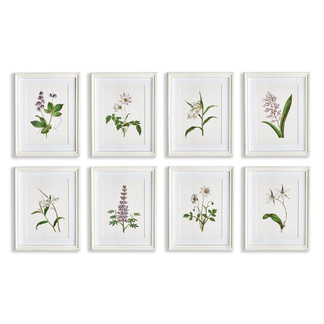 Napa Includes mat FLOWERS IN BLOOM PETITE PRINTS, SET OF 8