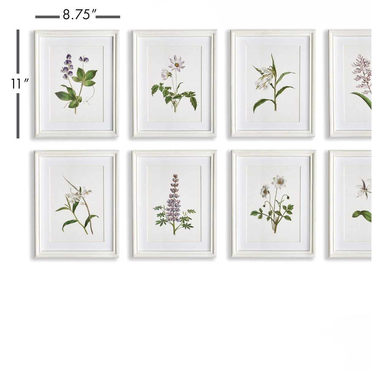 Napa Includes mat FLOWERS IN BLOOM PETITE PRINTS, SET OF 8