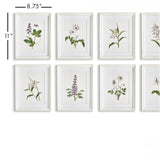 Napa Includes mat FLOWERS IN BLOOM PETITE PRINTS, SET OF 8