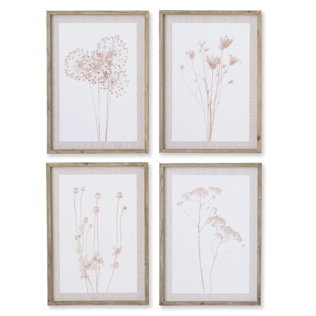 Napa Includes mat STYLIZED BOTANICAL PRINTS, SET OF 4