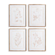 Napa Includes mat BLUSH BOTANICAL STUDY, SET OF 4