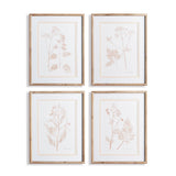 Napa Includes mat BLUSH BOTANICAL STUDY, SET OF 4