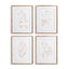 Napa Includes mat BLUSH BOTANICAL STUDY, SET OF 4