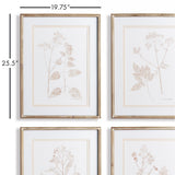 Napa Includes mat BLUSH BOTANICAL STUDY, SET OF 4