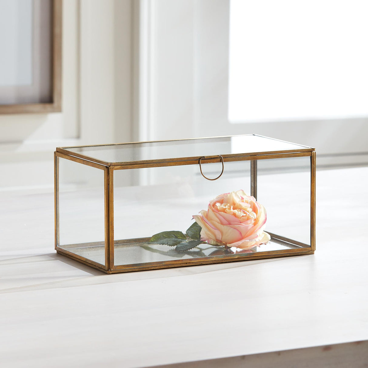 Napa Antique Brass ARWEN RECTANGULAR DISPLAY BOX