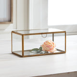 Napa Antique Brass ARWEN RECTANGULAR DISPLAY BOX