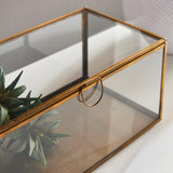 Napa Antique Brass ARWEN RECTANGULAR DISPLAY BOX