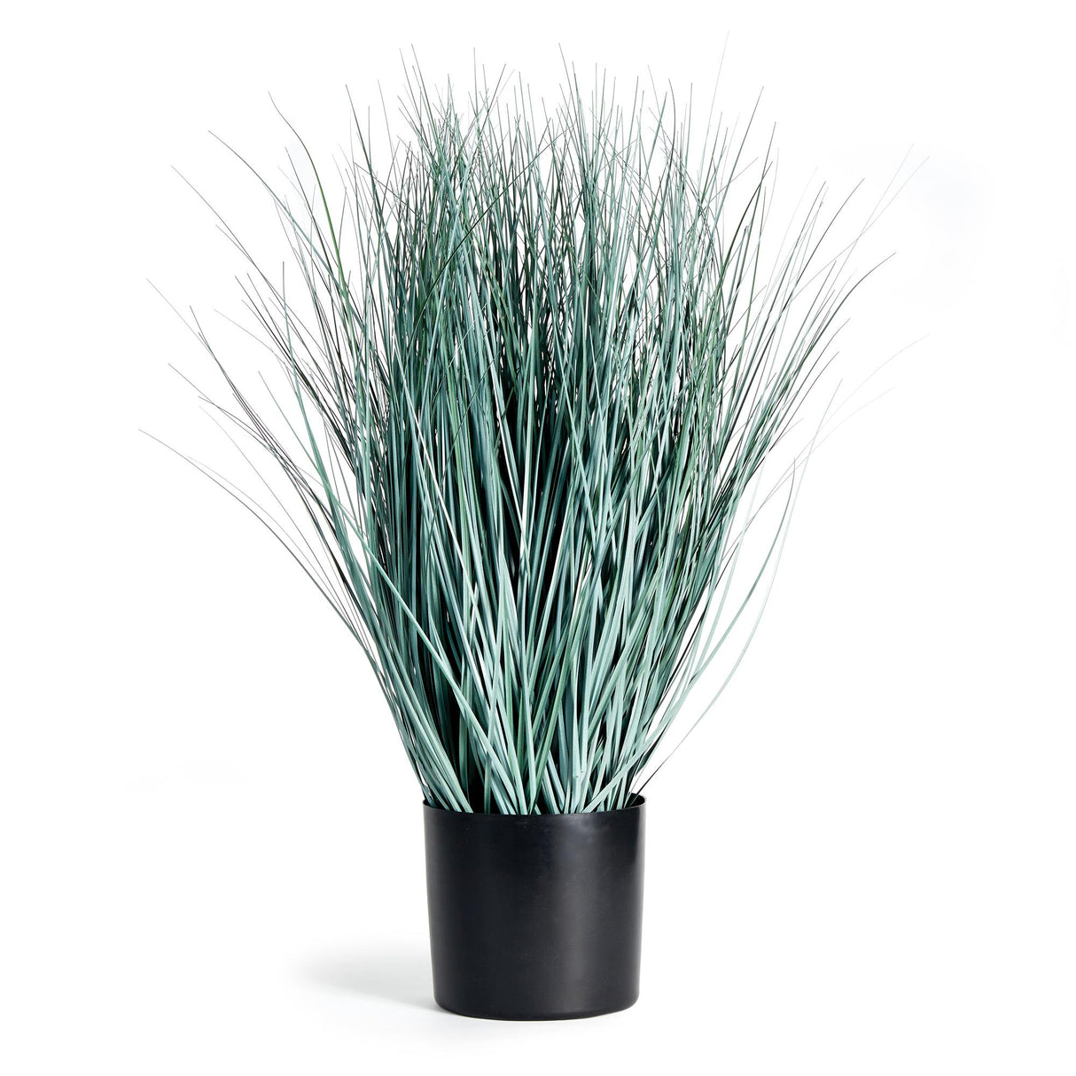 Napa BlueGreen BLUE OAT GRASS DROP-IN 32"