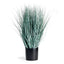 Napa BlueGreen BLUE OAT GRASS DROP-IN 32"