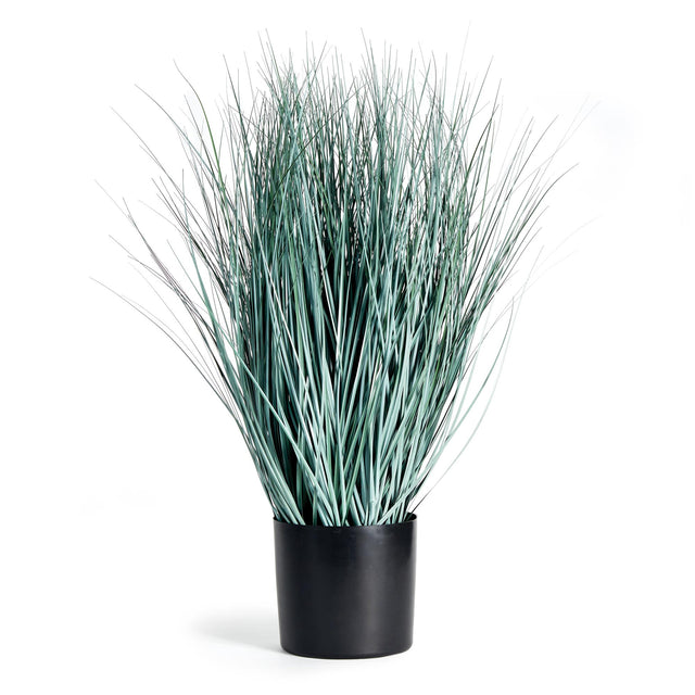 Napa BlueGreen BLUE OAT GRASS DROP-IN 32"