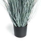 Napa BlueGreen BLUE OAT GRASS DROP-IN 32"