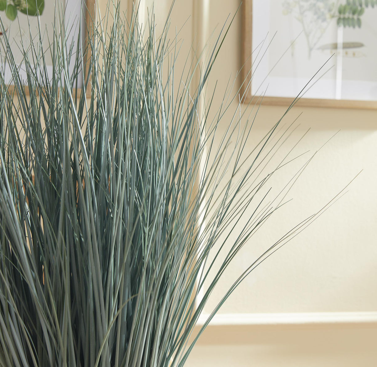 Napa BlueGreen BLUE OAT GRASS DROP-IN 32"