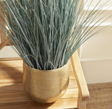 Napa BlueGreen BLUE OAT GRASS DROP-IN 32"