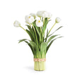Napa White PEONY TULIP DROP-IN 19"