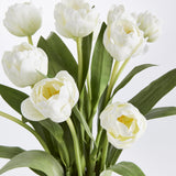 Napa White PEONY TULIP DROP-IN 19"