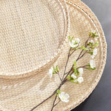 Napa Whitewash BARRI TRAYS, SET OF 2