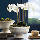 Napa White COLETTA DECORATIVE FOOTED LOW BOWL