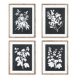 Napa  MONOCHROME BOTANICAL PRINTS, SET OF 4