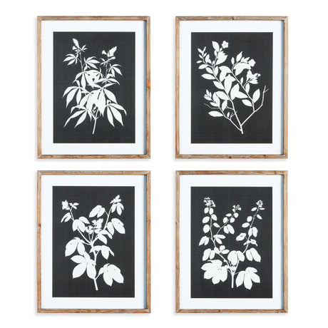 Napa  MONOCHROME BOTANICAL PRINTS, SET OF 4