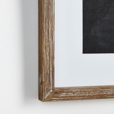 Napa  MONOCHROME BOTANICAL PRINTS, SET OF 4