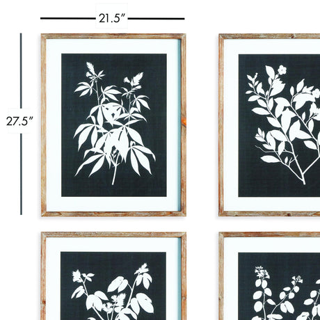 Napa  MONOCHROME BOTANICAL PRINTS, SET OF 4