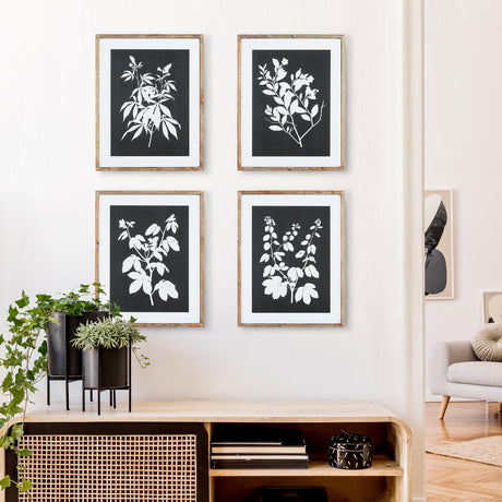 Napa  MONOCHROME BOTANICAL PRINTS, SET OF 4