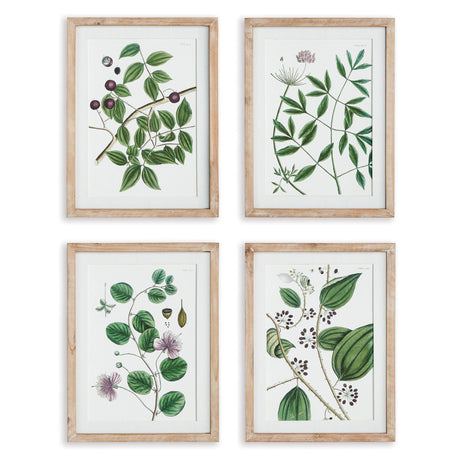 Napa Includes mat VERDANT BRANCH PRINTS, SET OF 4