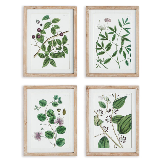 Napa Includes mat VERDANT BRANCH PRINTS, SET OF 4