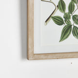 Napa Includes mat VERDANT BRANCH PRINTS, SET OF 4