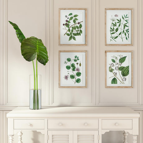Napa Includes mat VERDANT BRANCH PRINTS, SET OF 4