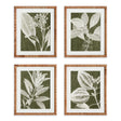 Napa  TRANSLUCENT STEM PRINTS, SET OF 4