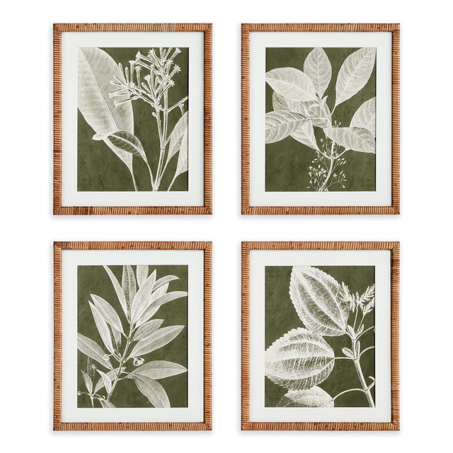 Napa  TRANSLUCENT STEM PRINTS, SET OF 4