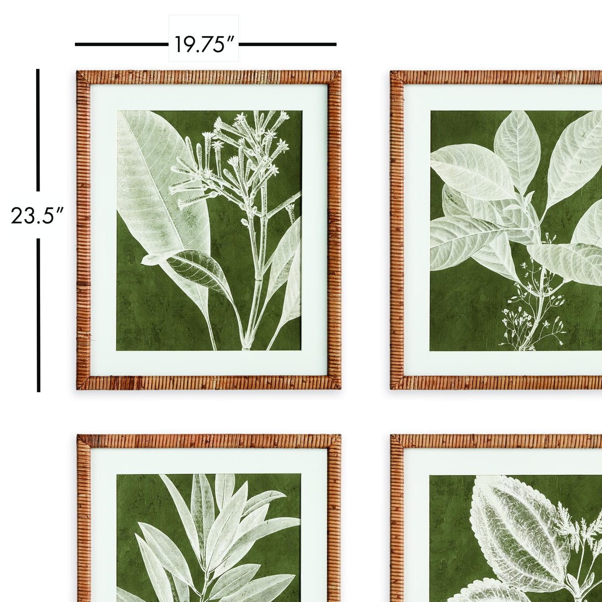 Napa  TRANSLUCENT STEM PRINTS, SET OF 4